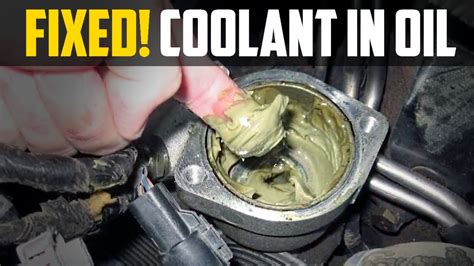 if the engine coolant leaks into the engine oil, then engine oil|5 Common Causes Of Oil In Your Coolant & How To。